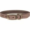 Barbour Leashes, Harnesses & Collars Leather Dog Collar -Barbour Online Shop BN 4